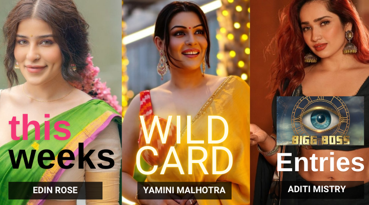 Bigg Boss 18: Eye-Candy Wildcards To Fix The Dropping TRPs?